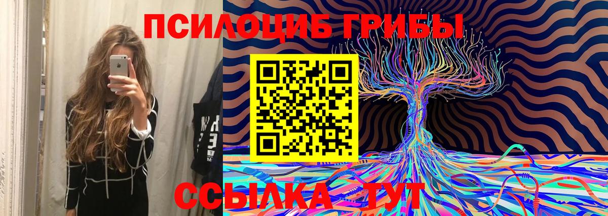 Псилоцибиновые грибы Psilocybe  Псилоцибиновые грибы Cubensis  Вход с VPN  Якутск 